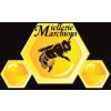 Logo de l'entreprise